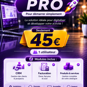 🟣 Pro— Limited ERP